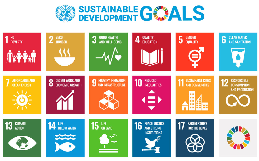 The 17 sustainable development goals